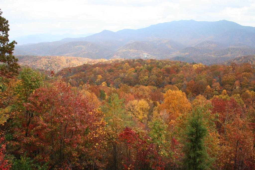 The Foxtrot Bed And Breakfast Gatlinburg Dış mekan fotoğraf